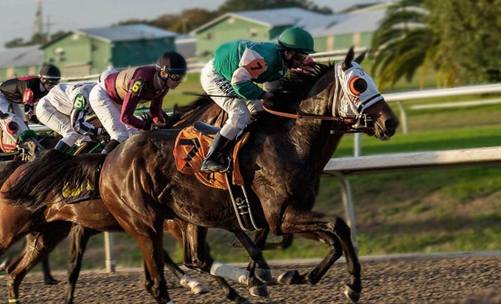 Guys participating in horse races